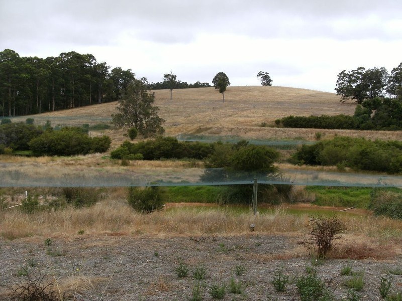 N.L. 9682 Bottomley Road, Manjimup WA 6258