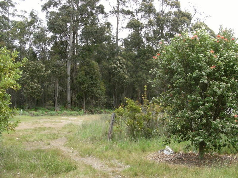 Lot 4 Muschamp Road, Manjimup WA 6258