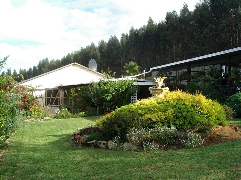 Lot 50 Black Georges Road, Manjimup WA 6258