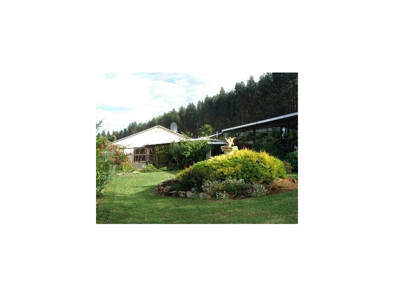 Lot 50 Black Georges Road, Manjimup WA 6258