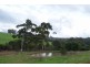 Lot 50 Black Georges Road, Manjimup WA 6258