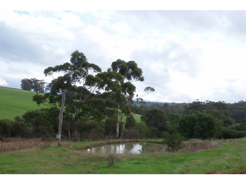 Lot 50 Black Georges Road, Manjimup WA 6258