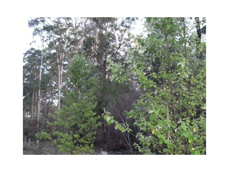 Lot 84 Plackett Drive, Pemberton WA 6260