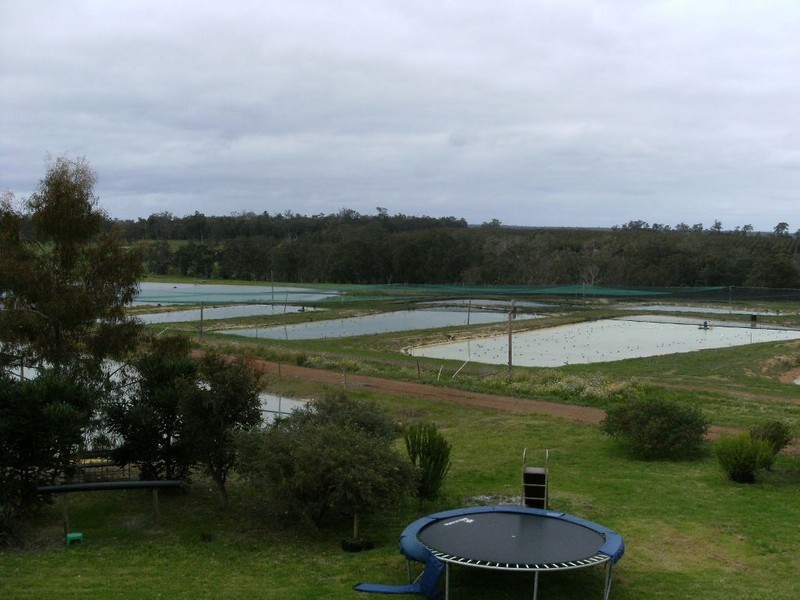 NL 3578 Perup Road, Manjimup WA 6258