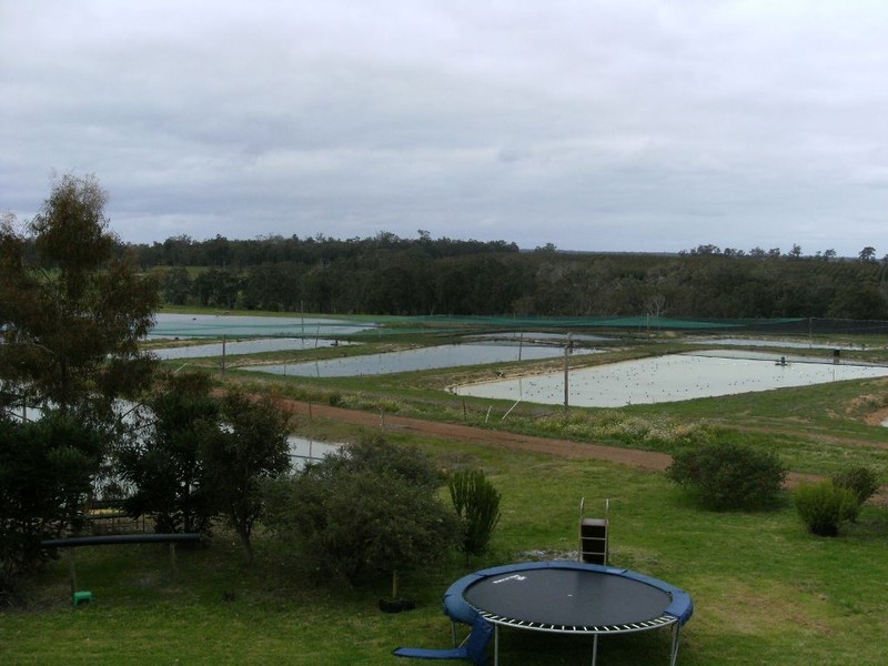 NL 3578 CHESTNUT GROVE ROAD, Manjimup WA 6258