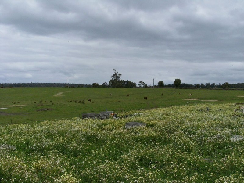 NL 3578 CHESTNUT GROVE ROAD, Manjimup WA 6258