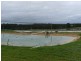 NL 3578 CHESTNUT GROVE ROAD, Manjimup WA 6258