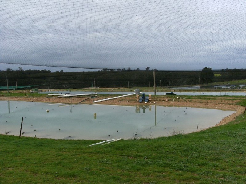 NL 3578 CHESTNUT GROVE ROAD, Manjimup WA 6258
