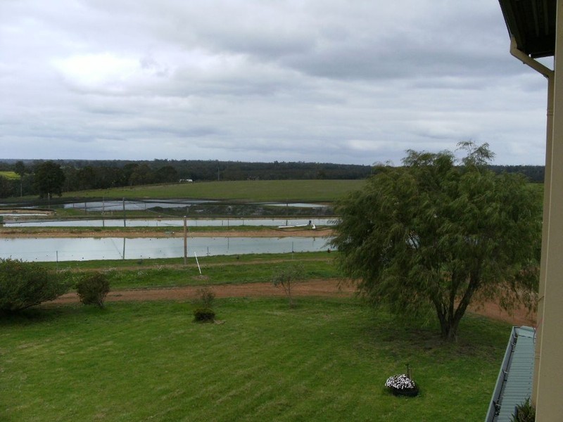 NL 3578 CHESTNUT GROVE ROAD, Manjimup WA 6258