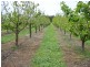 lot 6 South West Highway, Manjimup WA 6258