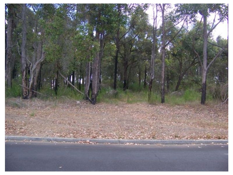 34 Stokes, Manjimup WA 6258