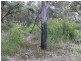 34 Stokes, Manjimup WA 6258