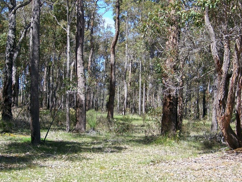 NL 8975 Karinda Rd, Manjimup WA 6258