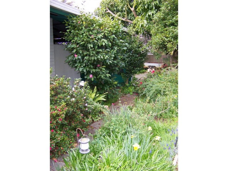 38 Brain Street, Manjimup WA 6258