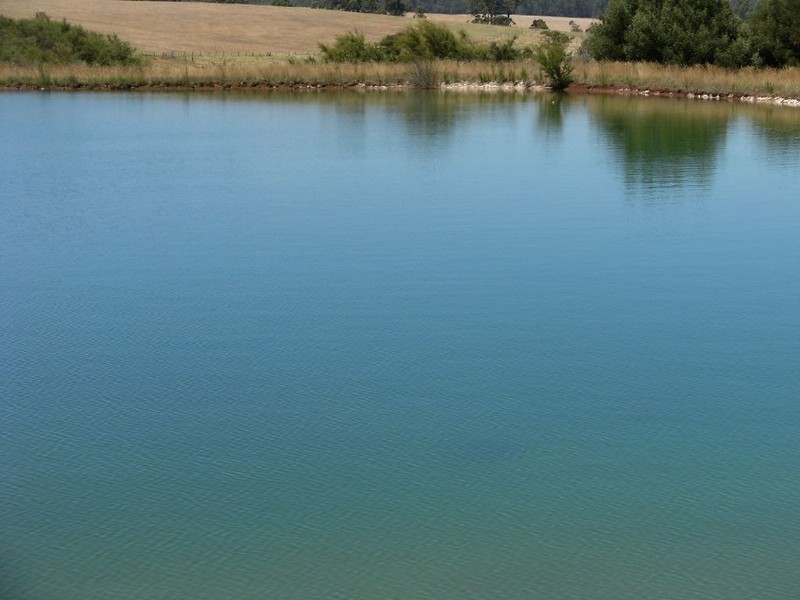 NL 9682 Bottomley Road, Manjimup WA 6258