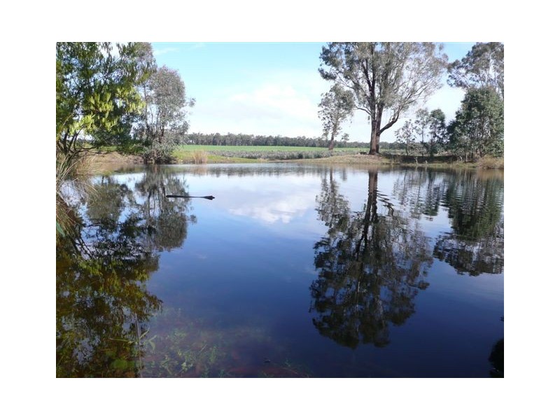 NL 1865 Cosy Creek Road, Manjimup WA 6258