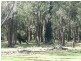 NL 1865 Cosy Creek Road, Manjimup WA 6258