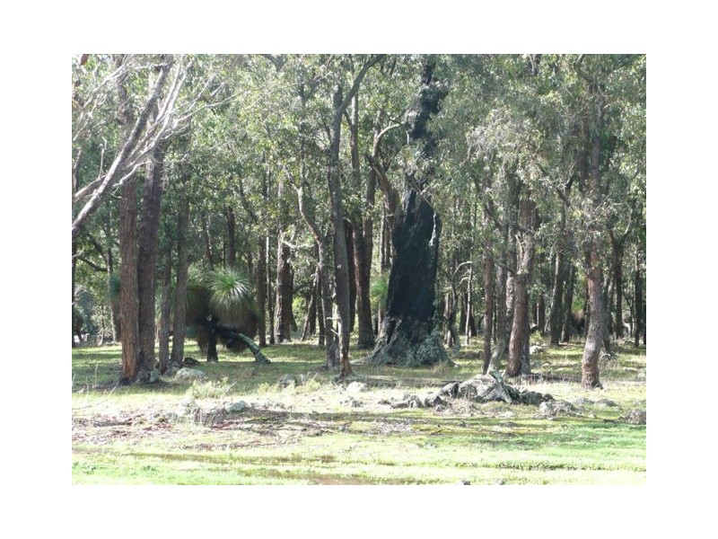 NL 1865 Cosy Creek Road, Manjimup WA 6258