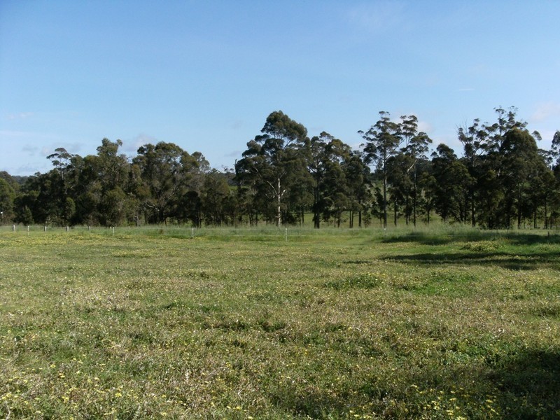 Lot 4 Muschamp Road, Manjimup WA 6258