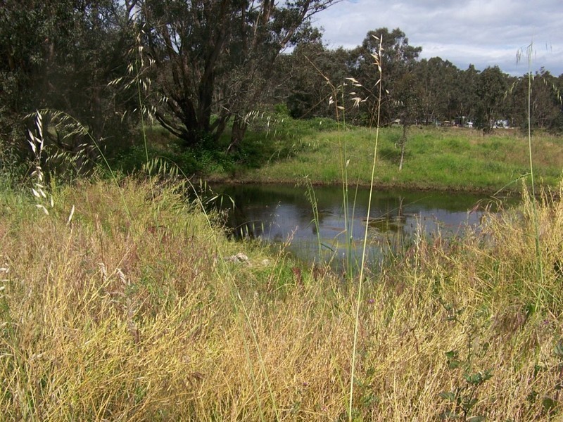 Lot 64 Williams Crt, Palgarup WA 6258