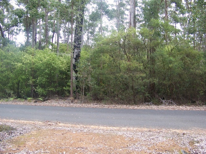 97 Karri Lane, Quinninup WA 6258