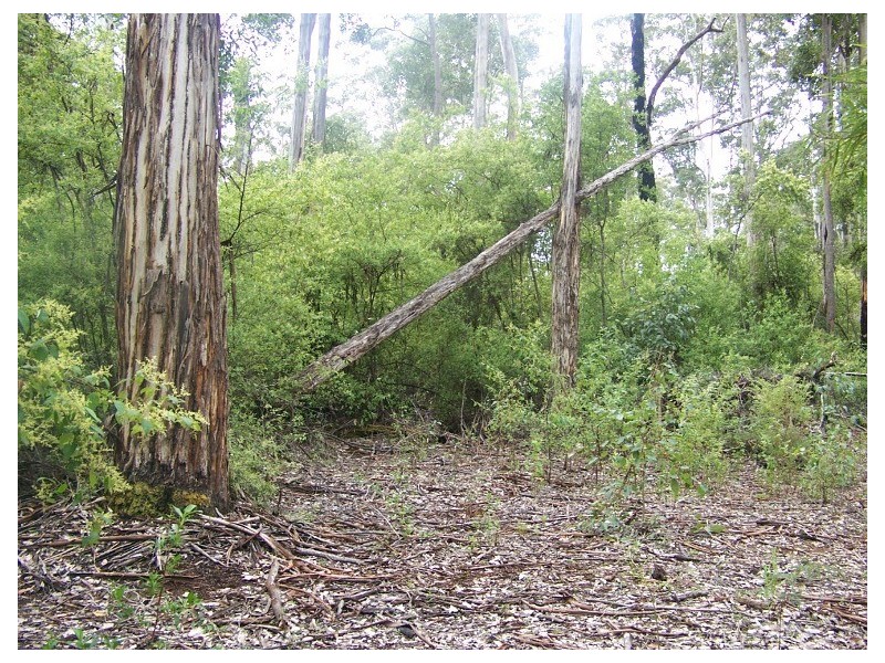 97 Karri Lane, Quinninup WA 6258