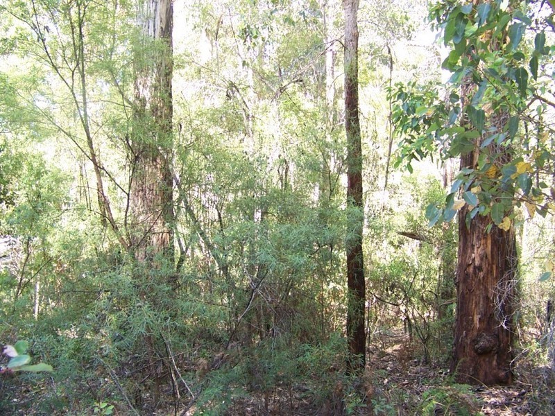 97 Karri Lane, Quinninup WA 6258