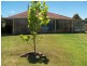 Lot 350 Blackbutt Drive, Manjimup WA 6258