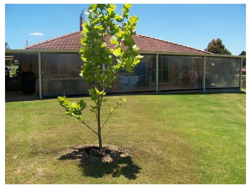 Lot 350 Blackbutt Drive, Manjimup WA 6258