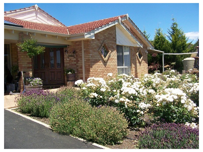 Lot 350 Blackbutt Drive, Manjimup WA 6258