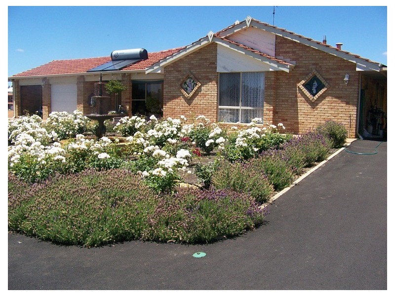 Lot 350 Blackbutt Drive, Manjimup WA 6258