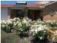 Lot 350 Blackbutt Drive, Manjimup WA 6258