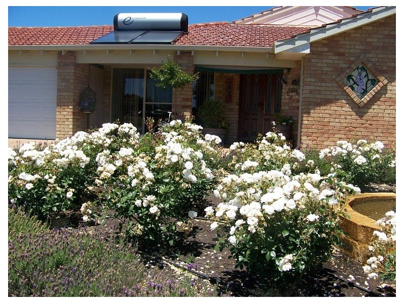 Lot 350 Blackbutt Drive, Manjimup WA 6258