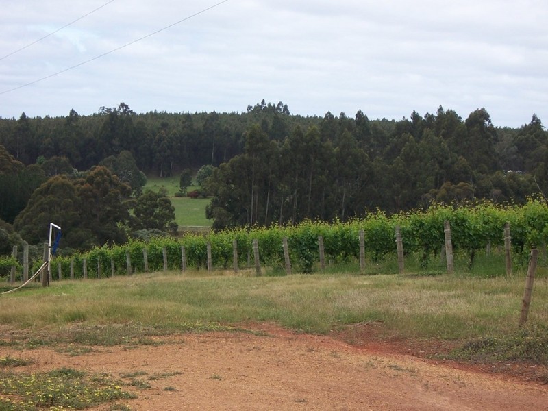 2 PIANO GULLY ROAD, Manjimup WA 6258