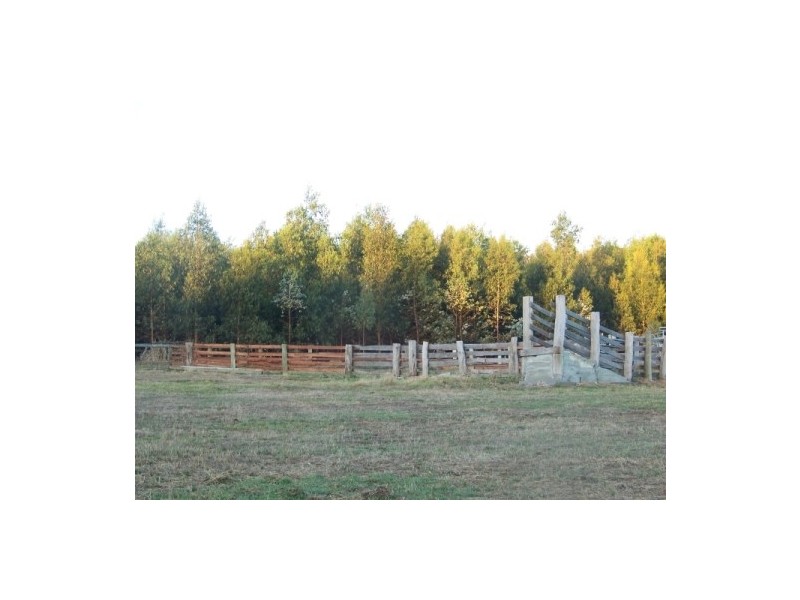 LOT 40 SEVEN DAY ROAD, Manjimup WA 6258