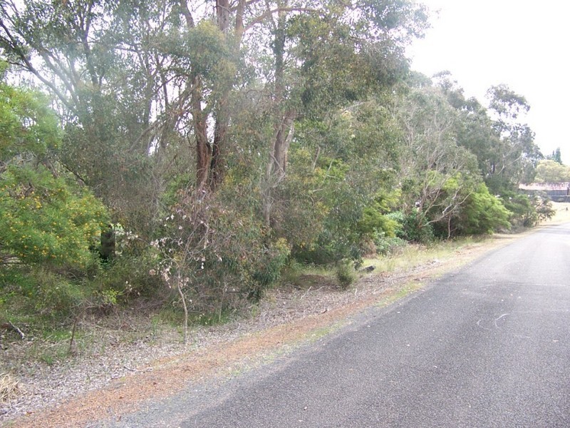 Lot 64 Williams Crt, Manjimup WA 6258
