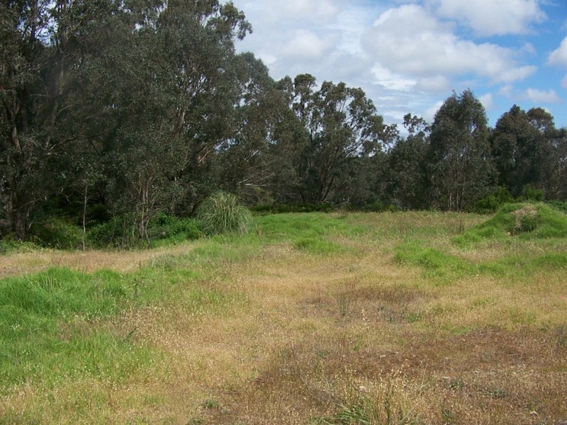 Lot 64 Williams Crt, Manjimup WA 6258