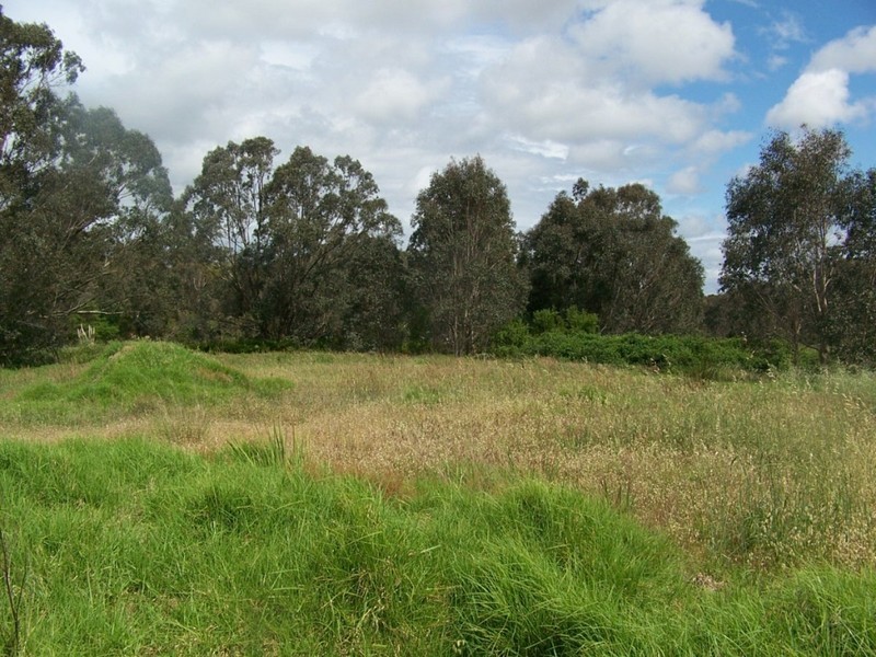 Lot 64 Williams Crt, Manjimup WA 6258