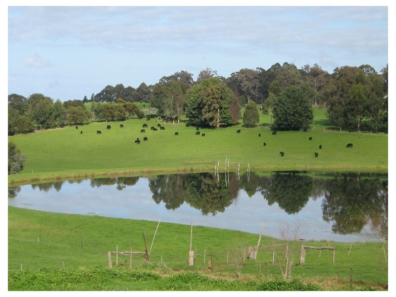 Lot 2 Vasse Highway, Pemberton WA 6260