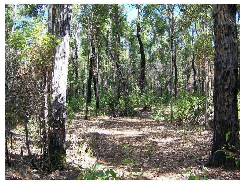 28 KARRI LANE, Quinninup WA 6258