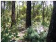 28 KARRI LANE, Quinninup WA 6258