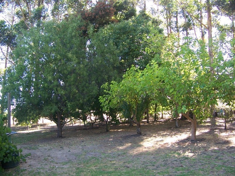 112 Perup Road, Manjimup WA 6258