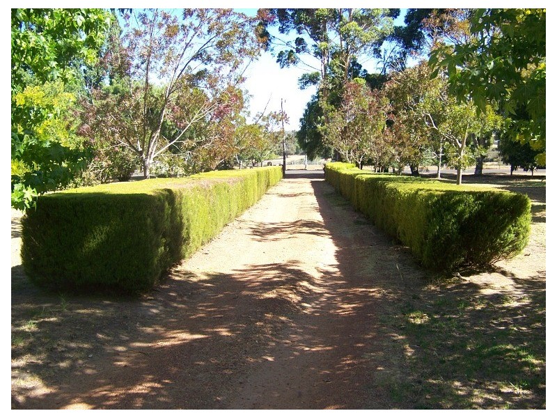 112 Perup Road, Manjimup WA 6258