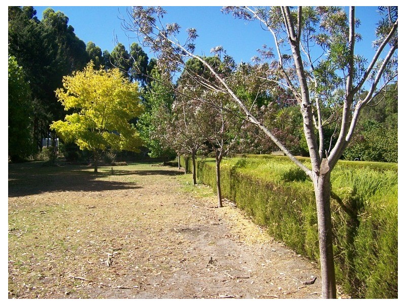 112 Perup Road, Manjimup WA 6258