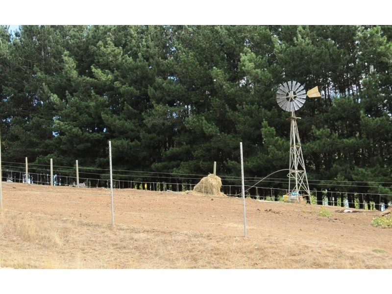 Lot 31 Black Georges Road, Manjimup WA 6258