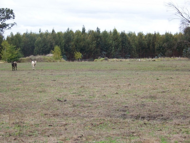 Manjimup WA 6258