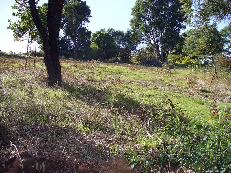 4 Railway Terrace, Bridgetown WA 6255