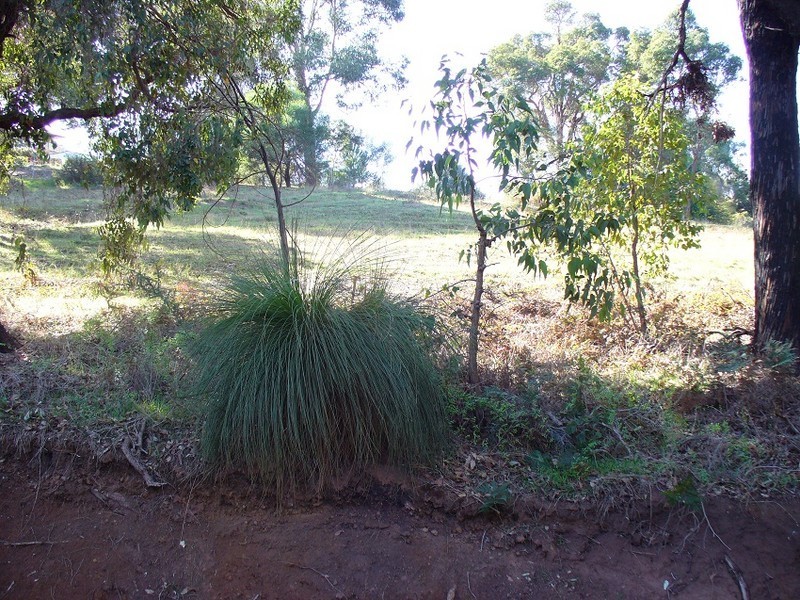 4 Railway Terrace, Bridgetown WA 6255