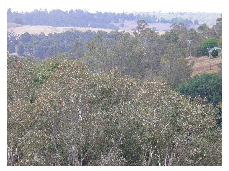 4 Railway Terrace, Bridgetown WA 6255