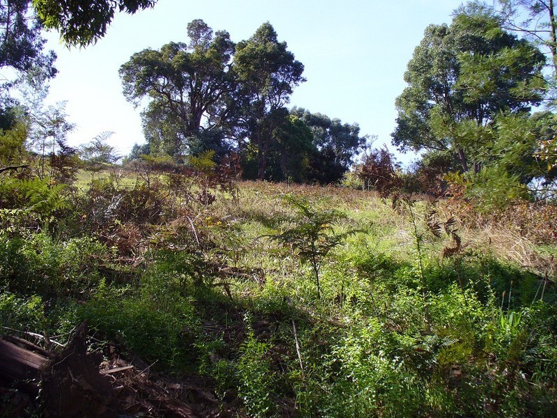 8 Railway Terrace, Bridgetown WA 6255